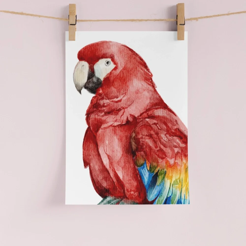 Red Macaw Parrot Bird Watercolor Wall Art Print Poster Unframed - Picture 6 of 8
